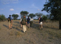 Group of tourists on walking safari carrying rucksacks and water bottles with guide carrying rifle. tourism African Eastern Africa Tanzanian Scenic