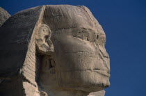 The Sphinx. Side profile of headAfrican Middle East North Africa History