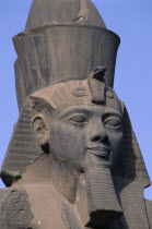 Luxor Temple. Ramses II seated statue with detail of head African Middle East North Africa Ramesses Religion History Religious