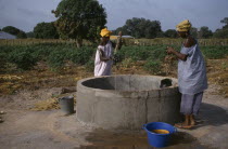 Women collecting water from well for vegetable plots.African Gambian Western Africa Female Woman Girl Lady Farming Agraian Agricultural Growing Husbandry  Land Producing Raising Female Women Girl Lad...