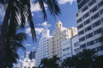 South Beach. Collins Avenue. The Delano  The National and The Sagamore Hotel facades with palm trees in the foregroundAmerican North America United States of America Beaches Resort Sand Sandy Seaside...