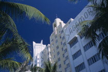 South Beach. Collins Avenue. The Delano  The National and The Sagamore Hotel facades framed by  palm tree branchesAmerican North America United States of America Beaches Resort Sand Sandy Seaside Sho...