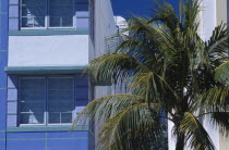 South Beach. Ocean Drive. Detail of an Art Deco building with a palm tree in the foregroundAmerican North America United States of America Beaches Resort Sand Sandy Seaside Shore Tourism