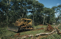 Deforestation.  Clearing forest for wheat farming