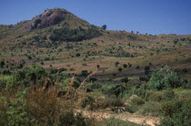 Area of deforestation on the Mozambique borderAfrican Eastern Africa Ecology Entorno Environmental Environnement Green Issues Malawian Mozambiquean Scenic