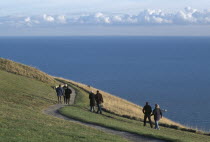 People walking together along winding path on cliff walk by Beachy HeadEuropean Great Britain Northern Europe UK United Kingdom