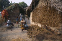 Hindu family by drying cow dung to be used as cooking fuel