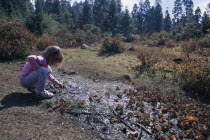 Little girl crouched on ground surrounded by mass of Monarch butterflies on ground and in the air.