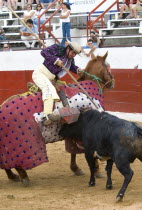 Bullfight. A picador lances the bull to weaken it in the tercio de varas.Bull Fight American Cattle Hispanic Latin America Latino Male Mexican One individual Solo Lone Solitary 1 Cow  Bovine Bos Taur...
