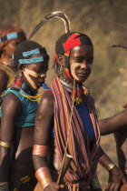 Hamer Jumping of the Bulls initiation ceremony  Ritual dancing round cows and bulls before the initiate does the jumping