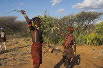 Hama Jumping of the Bulls initiation ceremony. Man whipping women on back in ritual flogging   The whip is made of rope or reed bushes