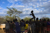 Hama Jumping of the Bulls initiation ceremony  the naked initiate runs over the backs of bulls  sometimes cows are used  - if he does so without slipping he is officially an adult