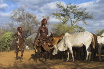 Hama Jumping of the Bulls initiation ceremony  Ritual dancing round cows and bulls before the initiate does the jumping