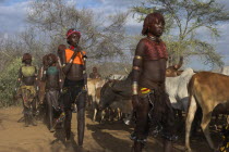 Hama Jumping of the Bulls initiation ceremony  Ritual dancing round cows and bulls before the initiate does the jumpin