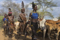 Hama Jumping of the Bulls initiation ceremony  Ritual dancing round cows and bulls before the initiate does the jumping