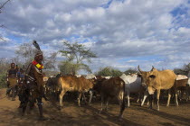 Hama Jumping of the Bulls initiation ceremony