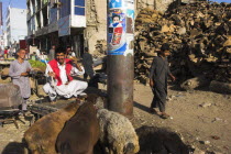 Central Kabul  Shor Bazaar  Sheep tied to electricity pole.