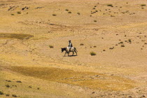 Shepard with sheep between Chakhcharan and Jam