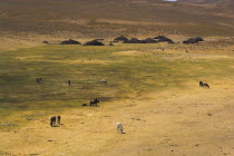 Aimaq nomad camp between Chakhcharan and Jam