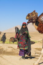 Kuchie nomad lady leads camel train  between Chakhcharan and Jam