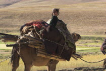 Kuchie nomad camel train  between Chakhcharan and Jam