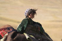 Kuchie nomad camel train between Chakhcharan and Jam. Girl on top of camel.