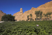 Kakrak valley  watchtower at ruins which were once the site of a 21ft standing Buddha in a niche  discovered in 1030 and surrounded by caves whose Buddhists paintings thought to date from the 9th and...