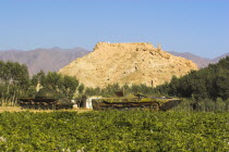 Abandoned tanks in fied in front of Ruined citadel of Shahr-e-Gholgola known as City of the Screaming   Destroyed by Genghis Khan in 1221 A.D. - the screams of its people as they were slaughted gave i...
