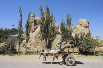 Men in horse and cart with sheep in back ride past ancient walls of Balkh mostly built in the Timurid period