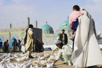 Family feeding famous white pigeons at Shrine of Hazrat Ali  who was assissinated in 661 This shrine was built here in 1136 on the orders of Seljuk Sultan Sanjar  destroyed by Genghis Khan and rebuil...