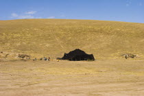 Nomad yurt between Maimana and Mazar-I-Sharif