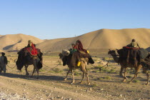 Kuchie camel train between Maimana and Mazar-I-Sharif