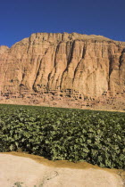Caves in cliffs near empty niche where the famous carved small Budda once stood 180 foot high before being destroyed by the Taliban in 2001