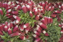 Bunches of radishes for sale in market. Shoreham-by-Sea.