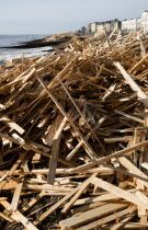 Timber washed up on the beach from the greek registered Ice Princess which sank off the Dorset coast on 15th January 2008