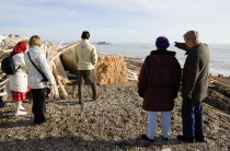 Timber washed up on the beach from the Greek registered Ice Princess which sank off the Dorset coast on 15th January 2008. Five people stand amongst the debris with Worthing Pier in the distance