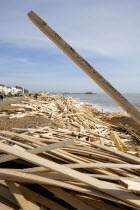 Timber washed up on the beach from the Greek registered Ice Princess which sank off the Dorset coast on 15th January 2008. A plank stands upright with the words The Grand Worthing Wood Disaster 2008 w...