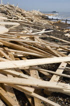 Timber wood planks washed up on the beach seafront from the wreckage of the Greek registered ship Ice Princess which sank off the Dorset coast on 15 January 2008. Worthin Pier in the distance