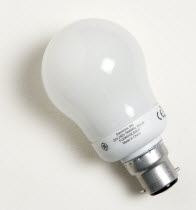 Nine watt low wattage longlife electric bulb