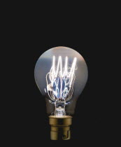 Electric light bulb showing lit element against a black background