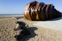 The rusted metal structure of the fish and seafood restaurant the East Beach Cafe designed by Thomas Heatherwick on the promenade with driftwood on the pebble beach in the foreground