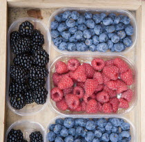 ITALY, Tuscany, Siena, Blackberries Blueberries and Raspberries displayed in containers outside a grocery shop.