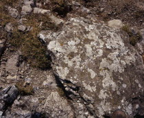 Pic de Bugarach  1230m .  Cathar cross cut into rock beside path to summit.  The Cathars were a religious sect  considered heretical by the Catholic church