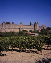 Carcassonne.  City view from east towards medieval fortified outer walls of town and from left to right: Tour de Prisons  Tour de Casteras  Tour de Plo  Tour de la Vade.Vines growing in foreground.