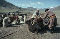 Nomads preparing to move camp loading camels.