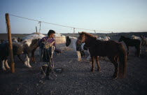 Man about to saddle up at horse lines with yurts behind in early morning light.