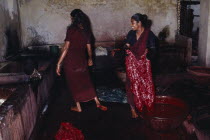 Women dyeing batik fabric in co-operative.
