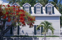 Clapperboard House behind red flowering tree