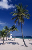 View across sandy beach with lifeguard station seen through palm trees towards sunbathers on sand and turquoise sea