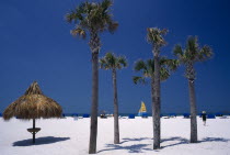 Palm trees on sandy beach with blue windbreaks and small tiki hut